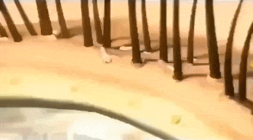 冬洗头干发神器！养出女明星绸缎发！开元棋牌app国产变态“抽水帽”入(图18)